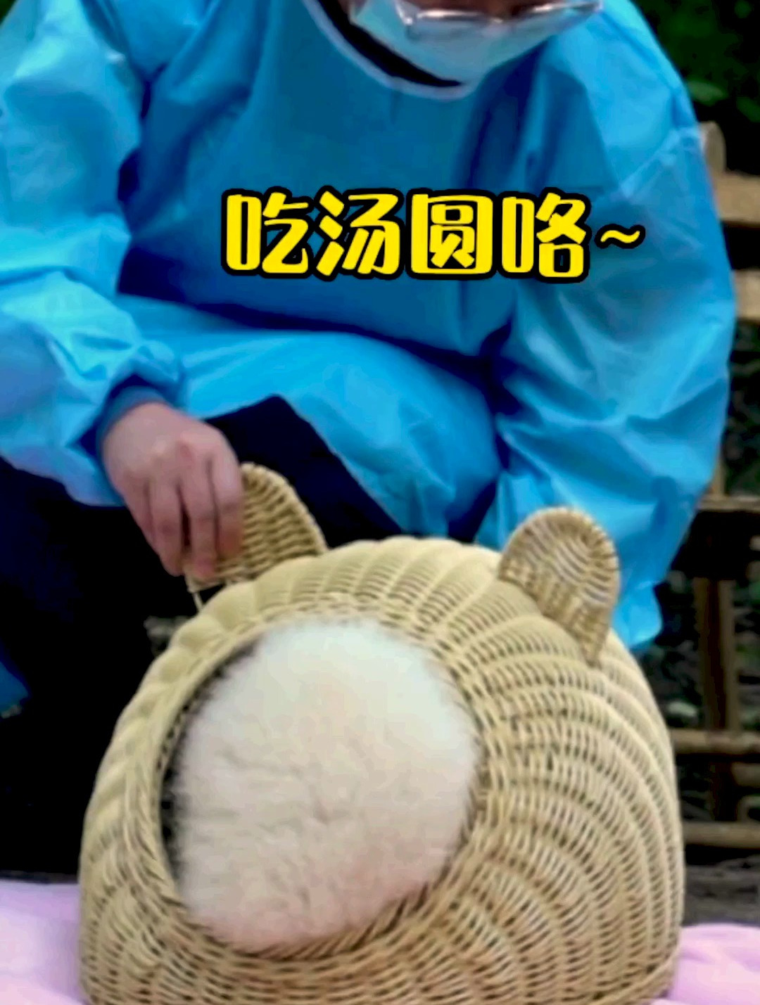 咦！这个汤圆怎么会动吖？