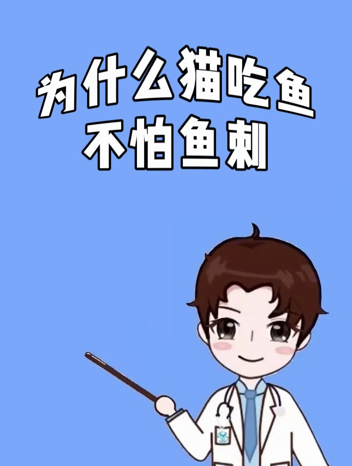 为什么猫吃鱼不怕鱼刺卡喉咙呢?