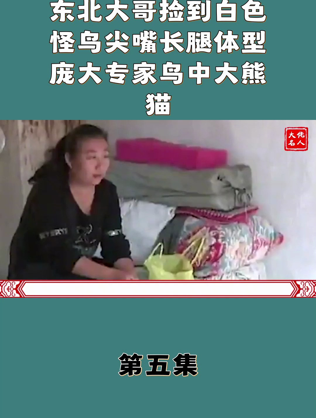 东北大哥捡到白色怪鸟 尖嘴长腿体型庞大 专家 鸟中大熊猫5