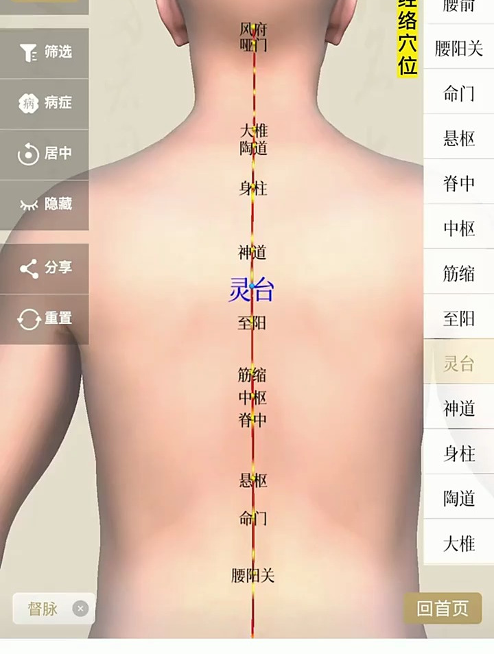 看视频学找灵台穴位置