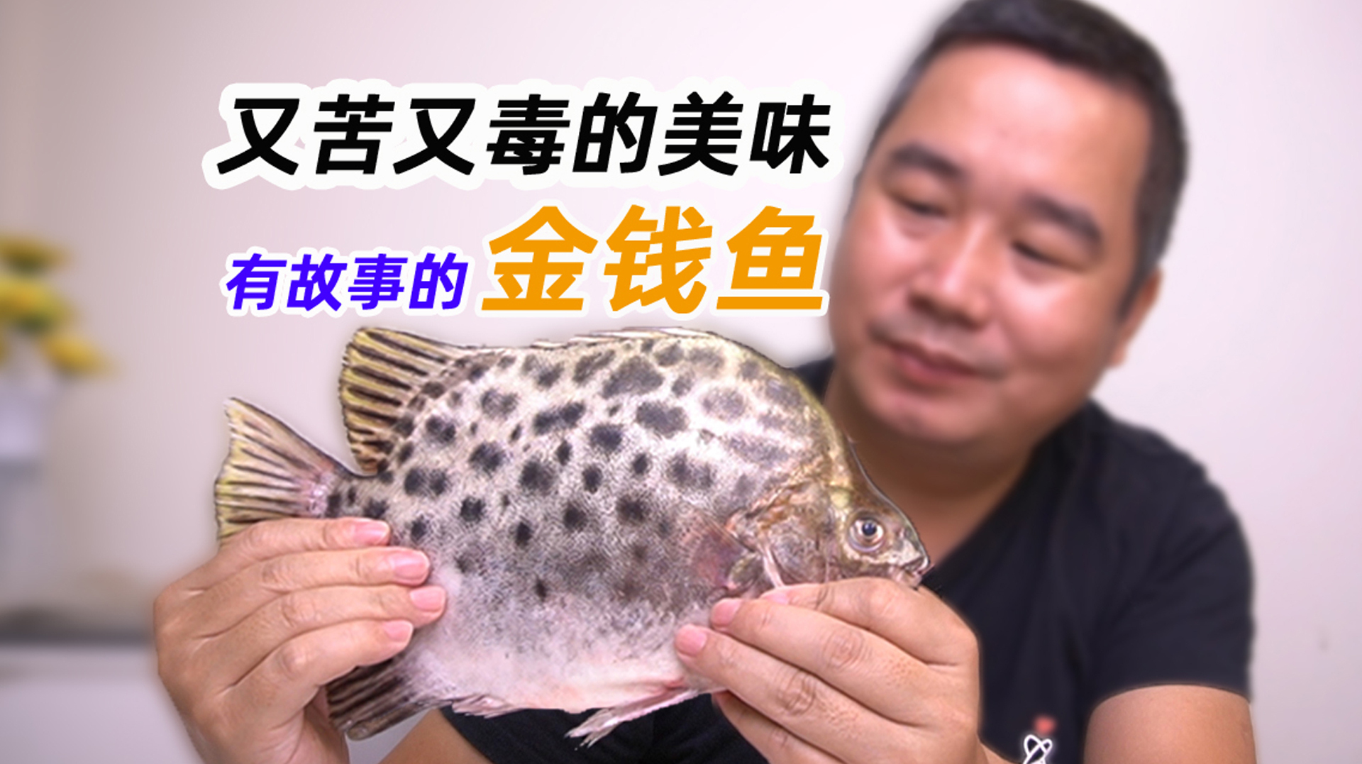 又苦又毒的金鼓鱼，海边人为何对它情有独钟？