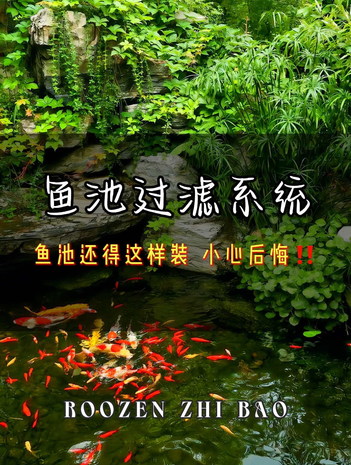 装修日记|鱼池还得装这样 小心后悔