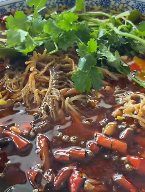 说到毛血旺,大人小孩子都喜欢!关键配菜又丰富!麻辣鲜香