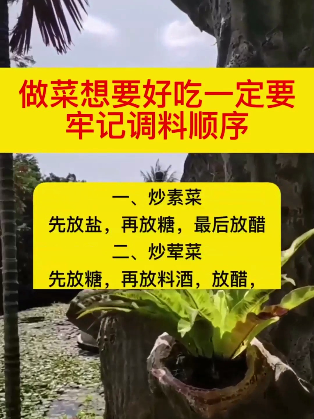 做菜想要好吃,一定要牢记调料顺序