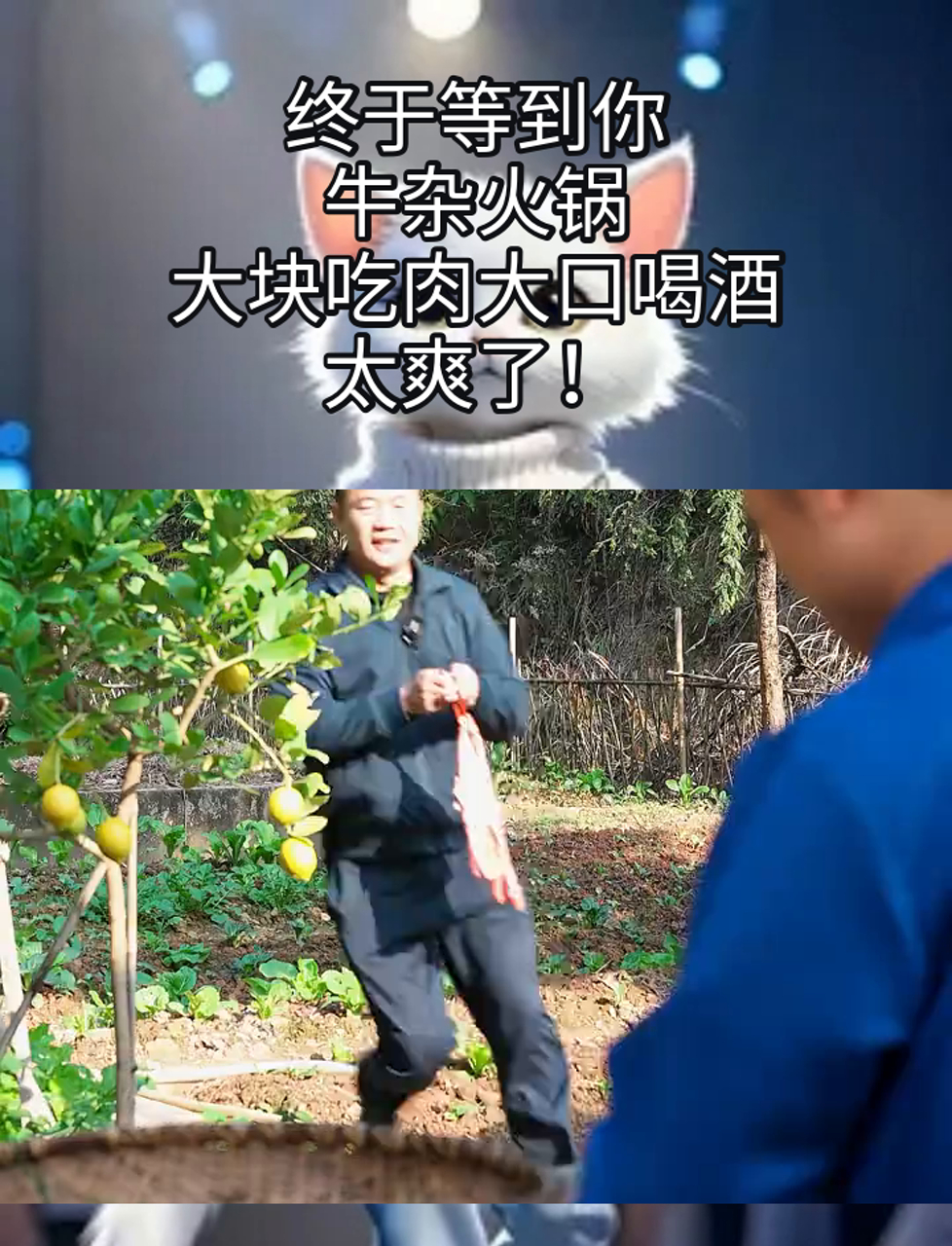 终于等到你,牛杂火锅,大块吃肉大口喝酒,太爽了!