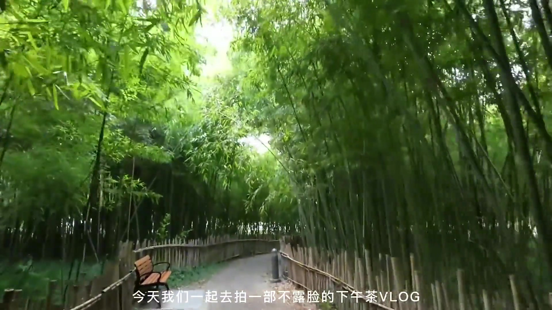 街拍教程|自拍一部有趣的下午茶VLOG就是这么简单 摄影技巧