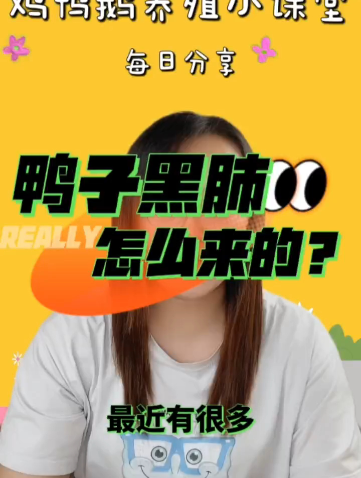 鸭子肺黑了有什么症状?鸭子黑肺怎么办?肉鸭肺发黑是怎么回事?