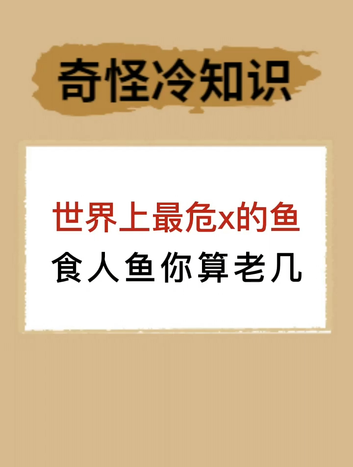 世界上最危险的鱼,食人鱼你算老几?