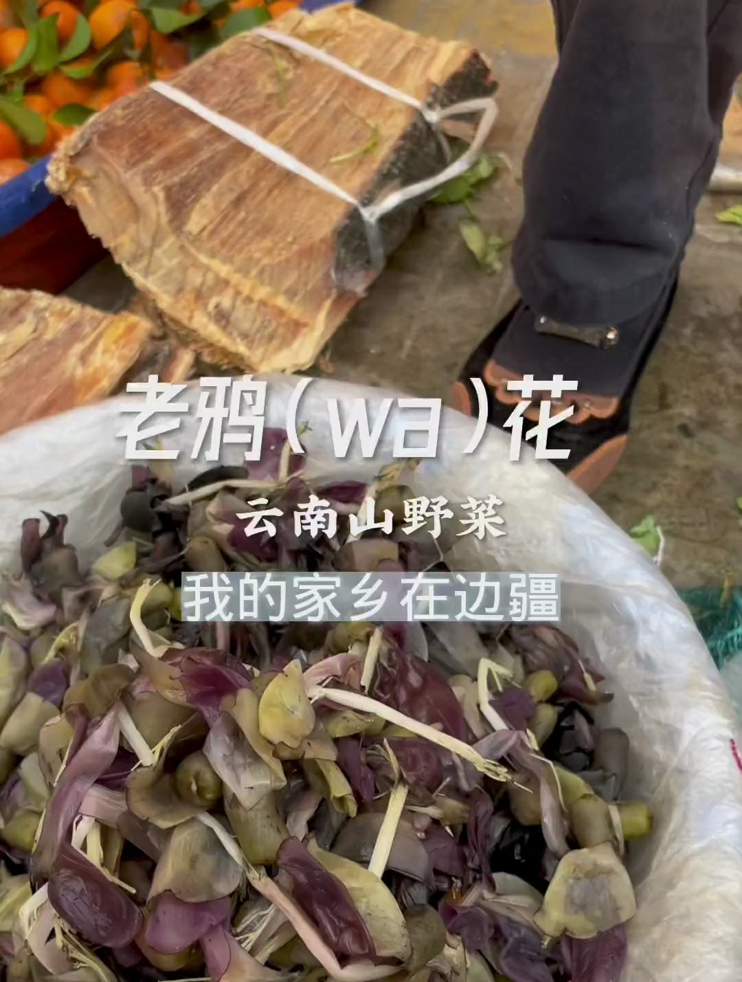 云南野菜老鸦花,五块买一碗,试一试口感