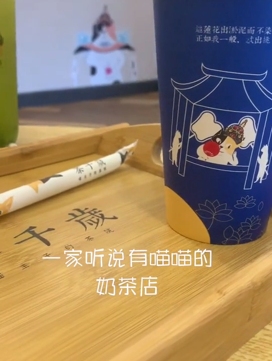 打卡喵喵主题奶茶店