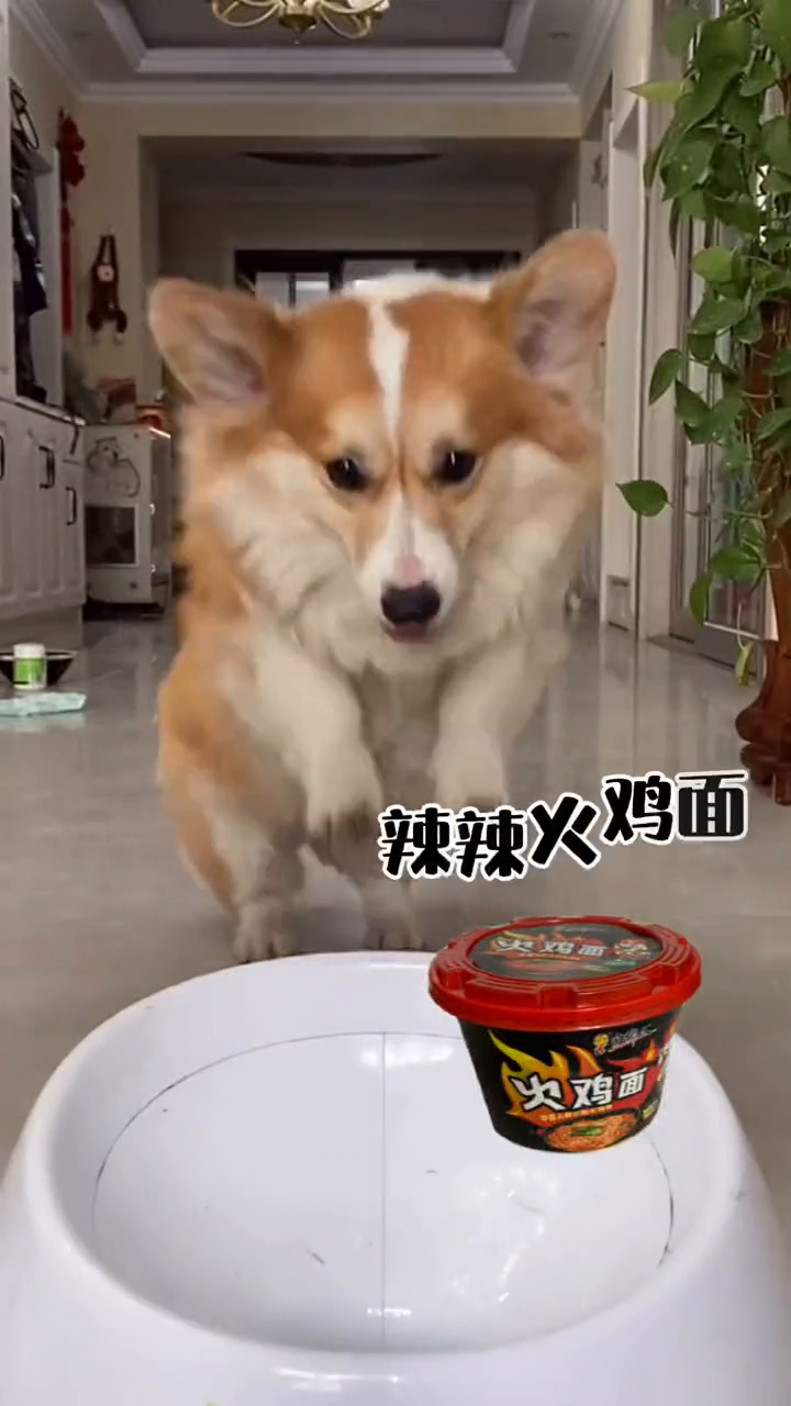 各种颜色方便面