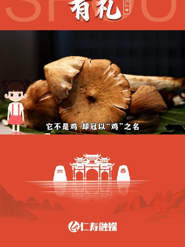 国庆|仁寿有礼——斗鸡公