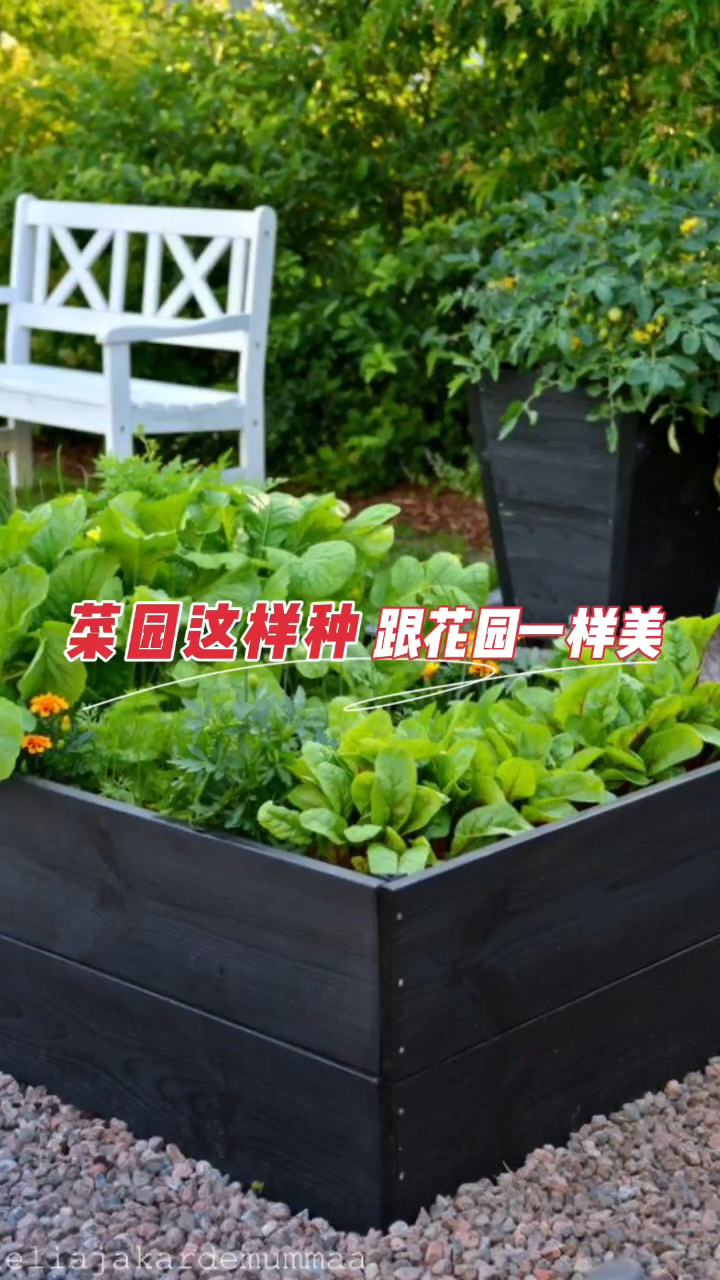 如何让菜园比花园更美?精心的设计最重要