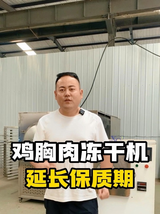 0.5平方真空冻干机 鸡胸肉冻干机 宠物食品真空冻干机