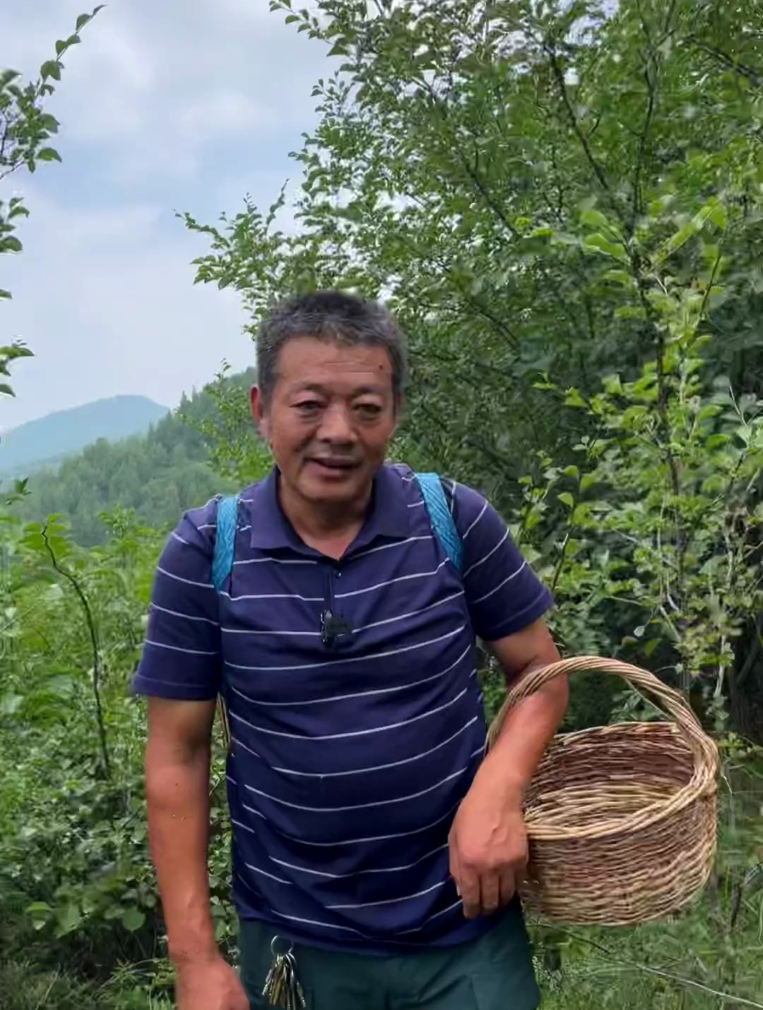 九十年代大席才能吃上的一种野菜,黄花菜,开出的花也是非常漂亮