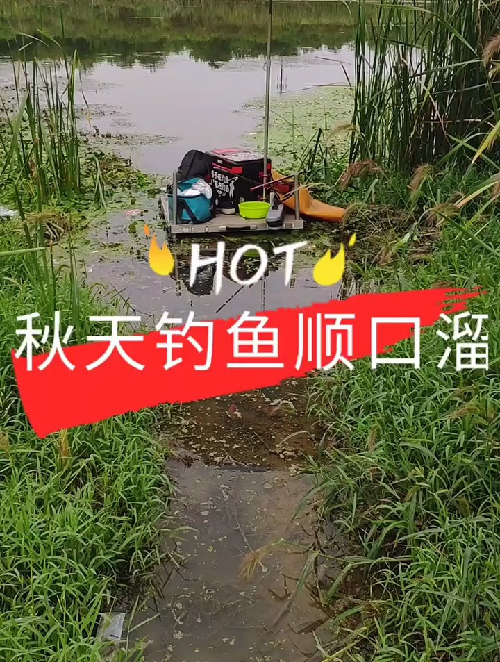秋天钓鱼顺口溜,钓鱼技巧