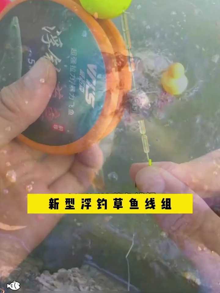 老钓友都在使用的草鱼线组,学会这个线组钓草鱼秒变大师
