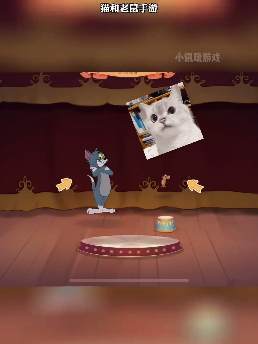 猫和老鼠手游 汤姆