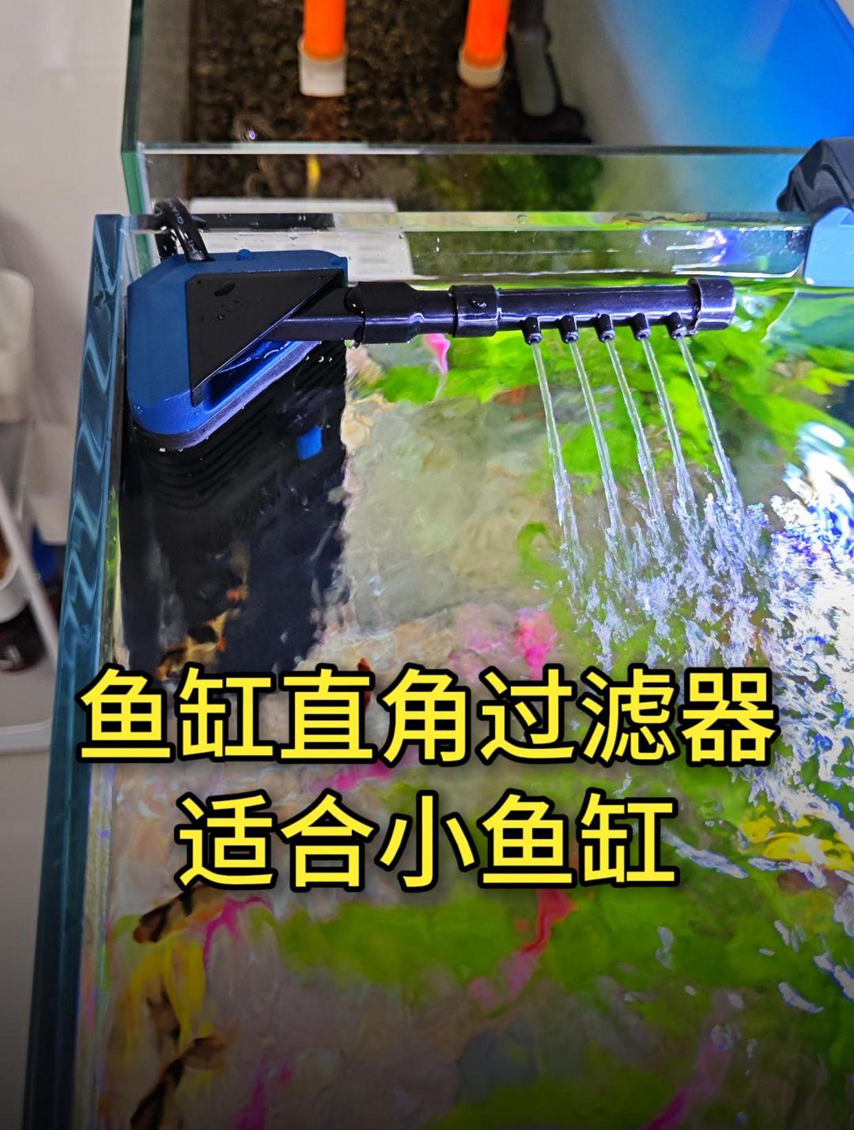 低水位造景缸用它没错,适合龟缸、小鱼缸用的直角过滤,占空间小