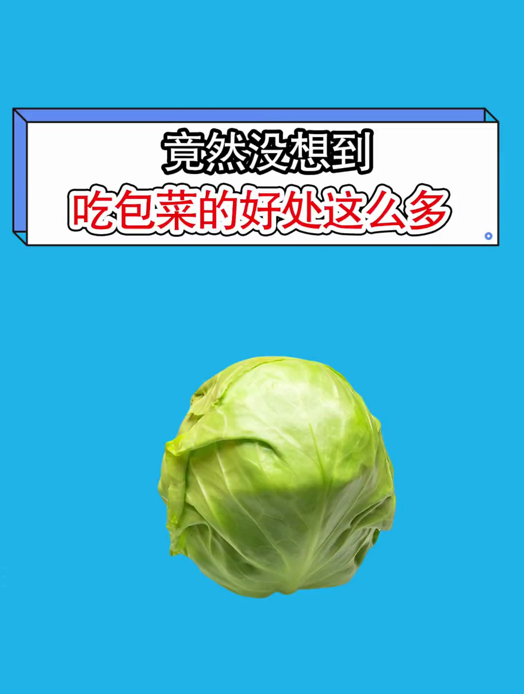 姐妹们 你们喜欢吃包菜吗