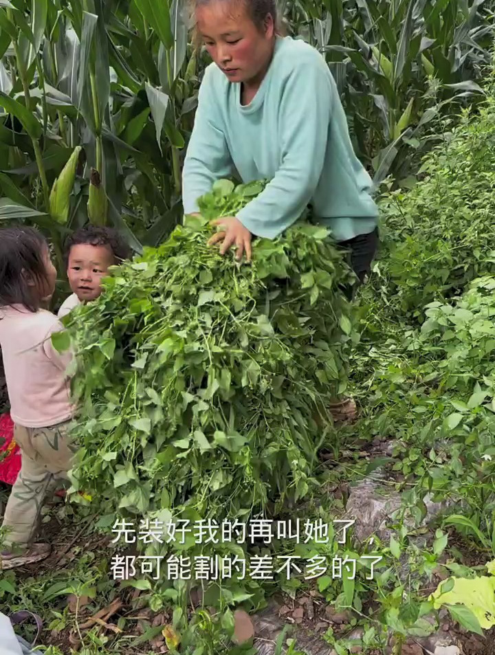 记录我的农村日常生活,老大的同学来家里玩,做黄瓜凉拌无骨鸡爪