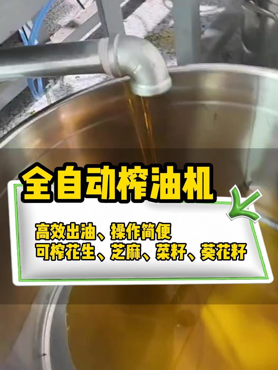 全自动菜籽榨油机