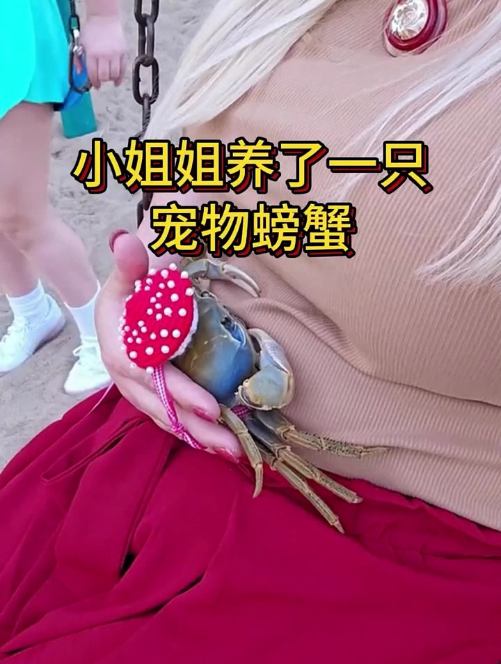国外小姐姐养了一只宠物螃蟹,这也太有爱了