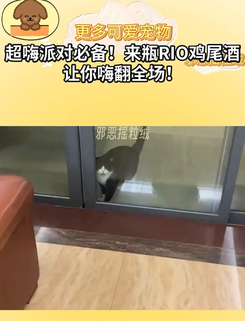 超嗨派对必备!来瓶RIO鸡尾酒,让你嗨翻全场!