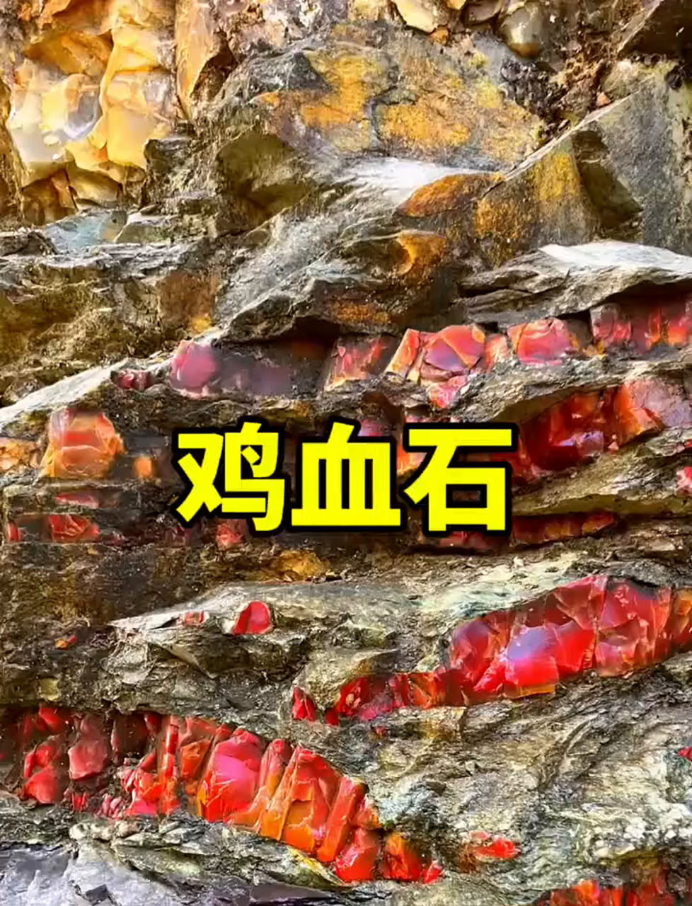 你瞧过这种石头吗?挺稀奇的!