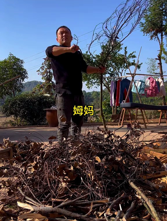 今天吃腊八豆炒鸡蛋