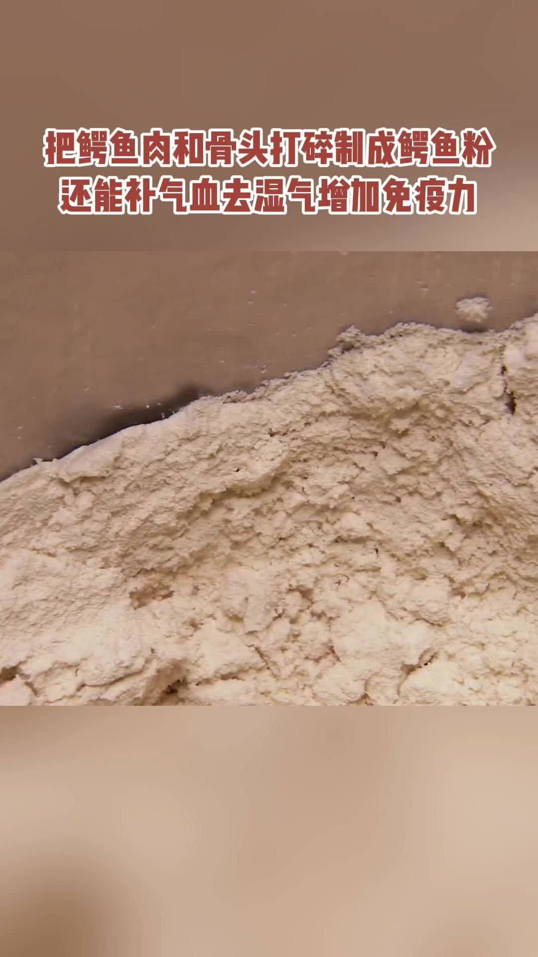 把鳄鱼肉和骨头打碎制成鳄鱼粉 还能补气血去湿气增加免疫力