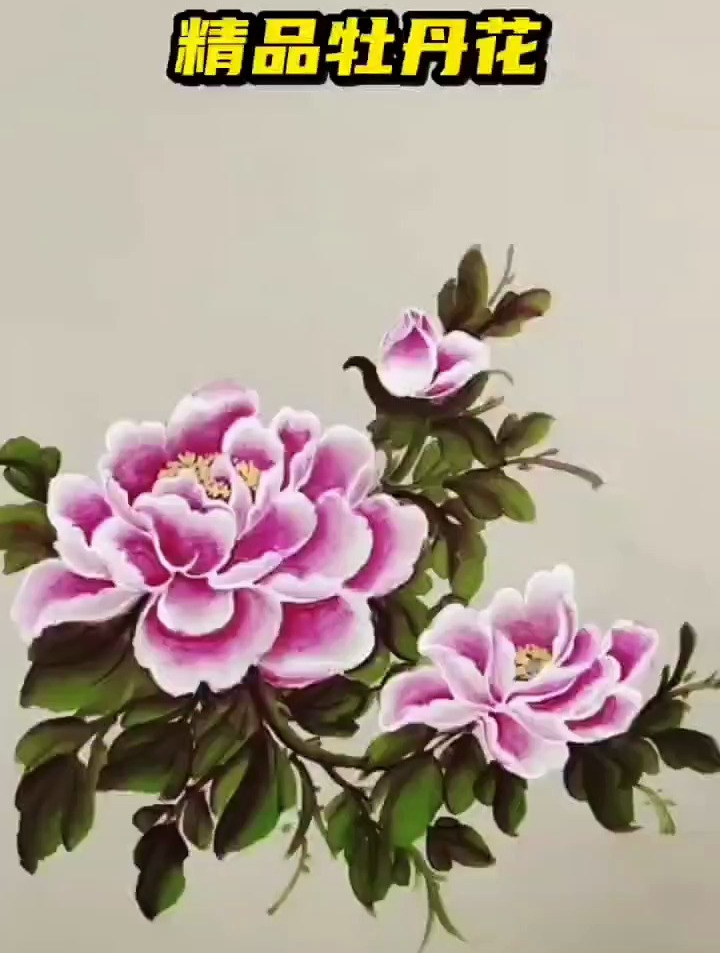 国画作品花精品牡丹花