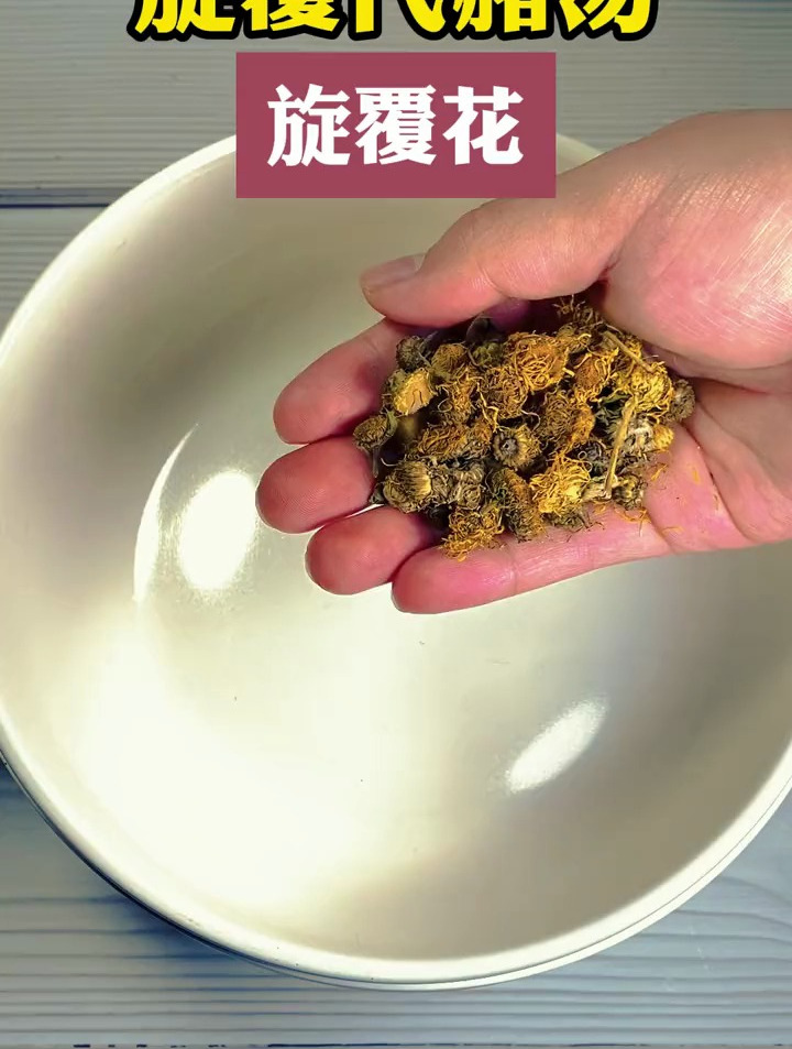 旋覆代赭汤做法旋覆花代赭石汤