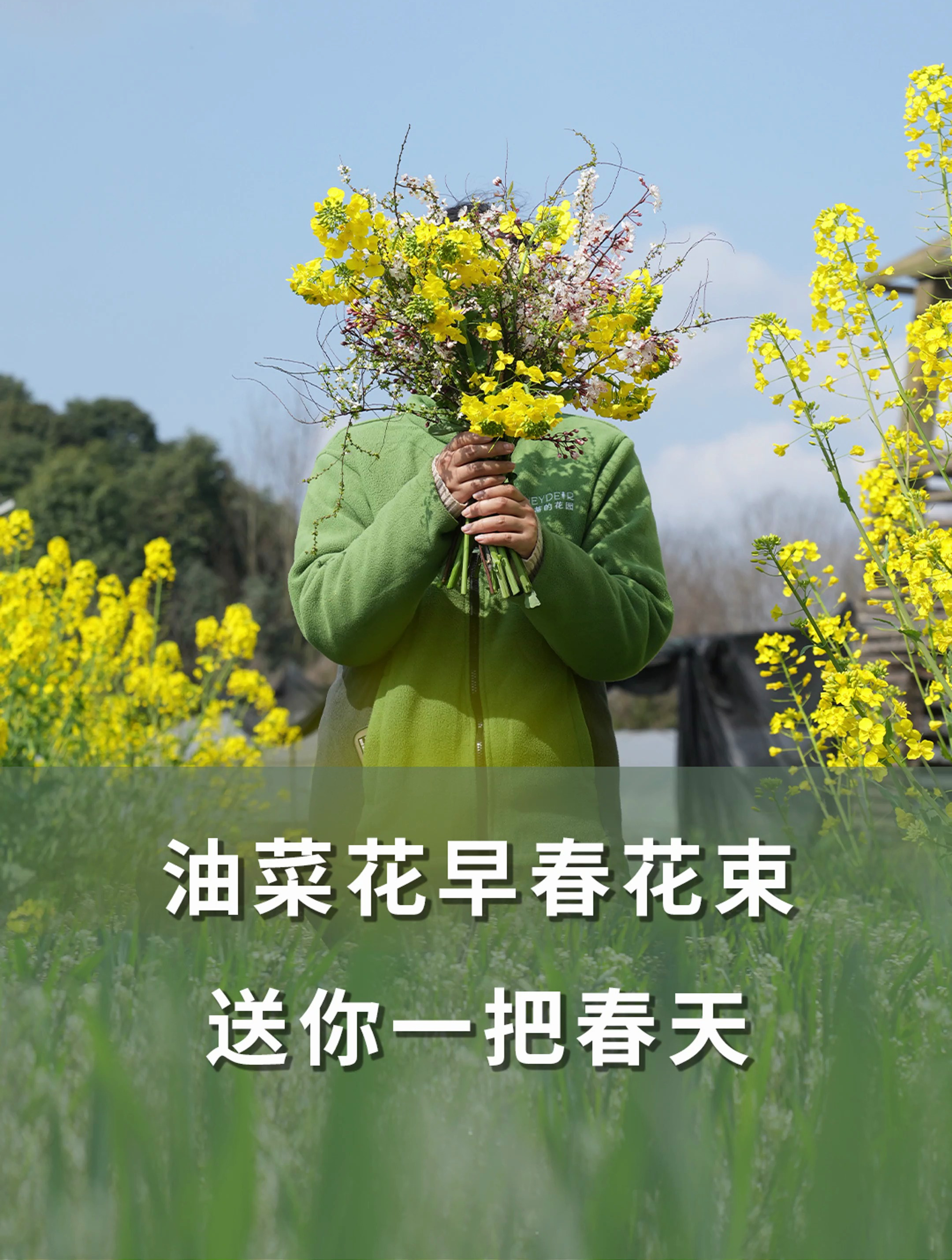 油菜花早春花束,送你一把春天