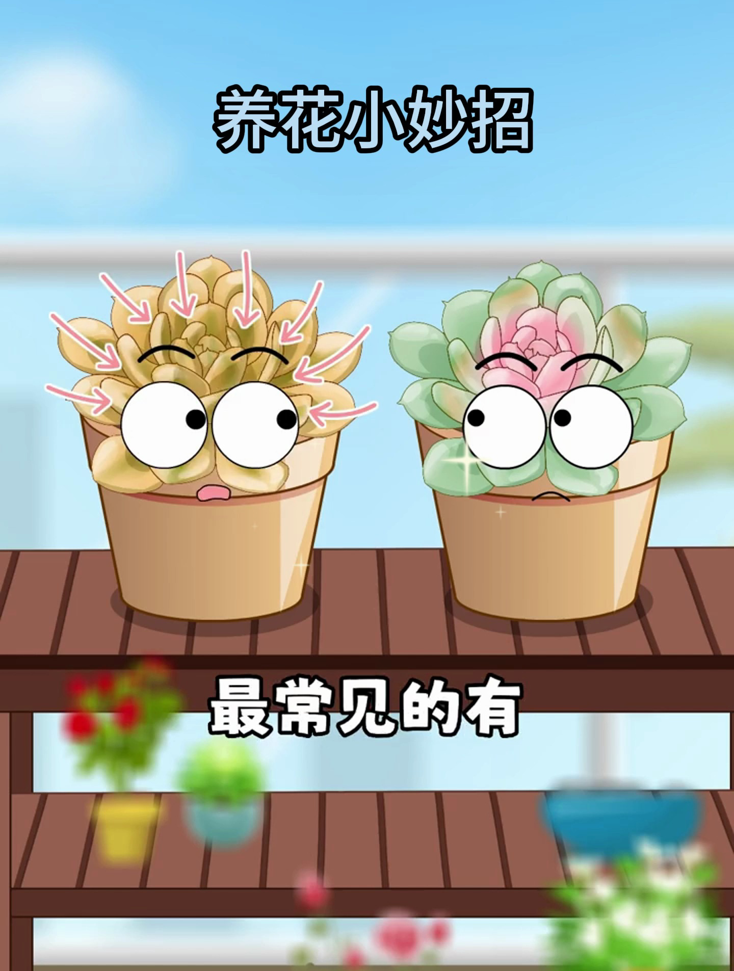 你知道多肉购买怎么避坑,药锦多肉?