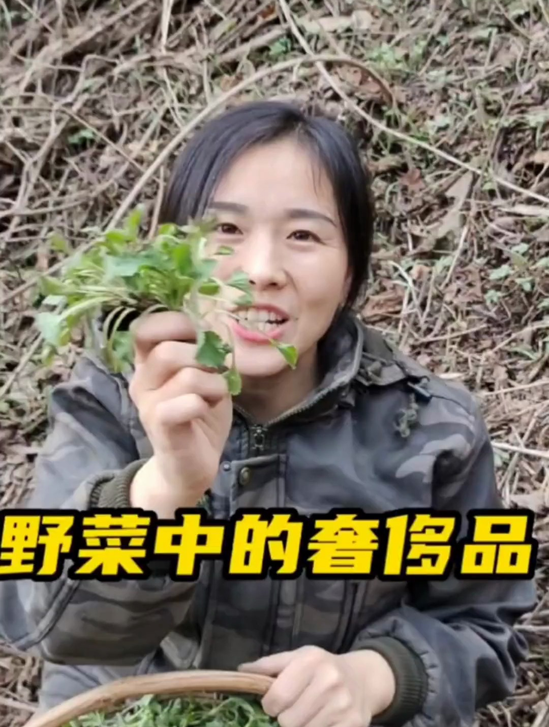 今天太幸运了,遇到了一片山生菜,这可是春天里野菜中的奢侈品