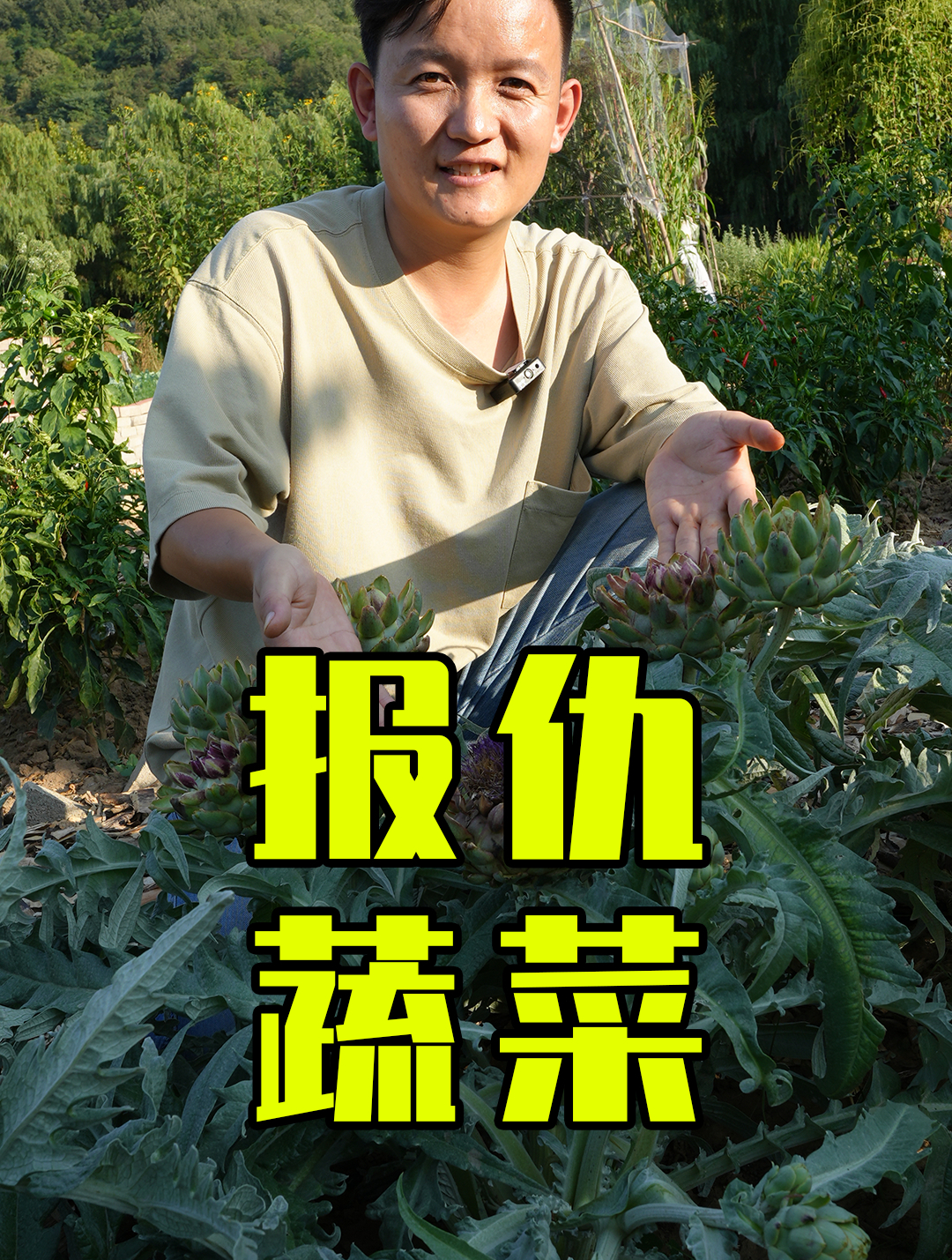 「水果猎人」偶遇传说中公摊面积最大的“报仇”蔬菜