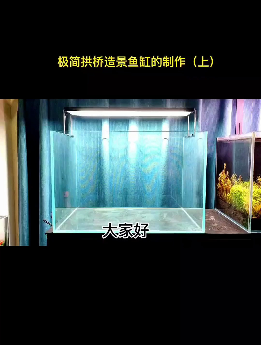 非常适合新手玩的极简拱桥造景 一看就会 水草造景鱼缸