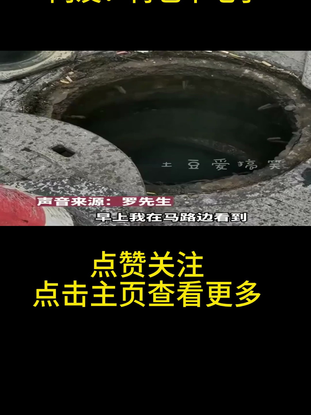 市政工人清理下水管道,捞出小龙虾还产卵了,网友:再也不吃了!