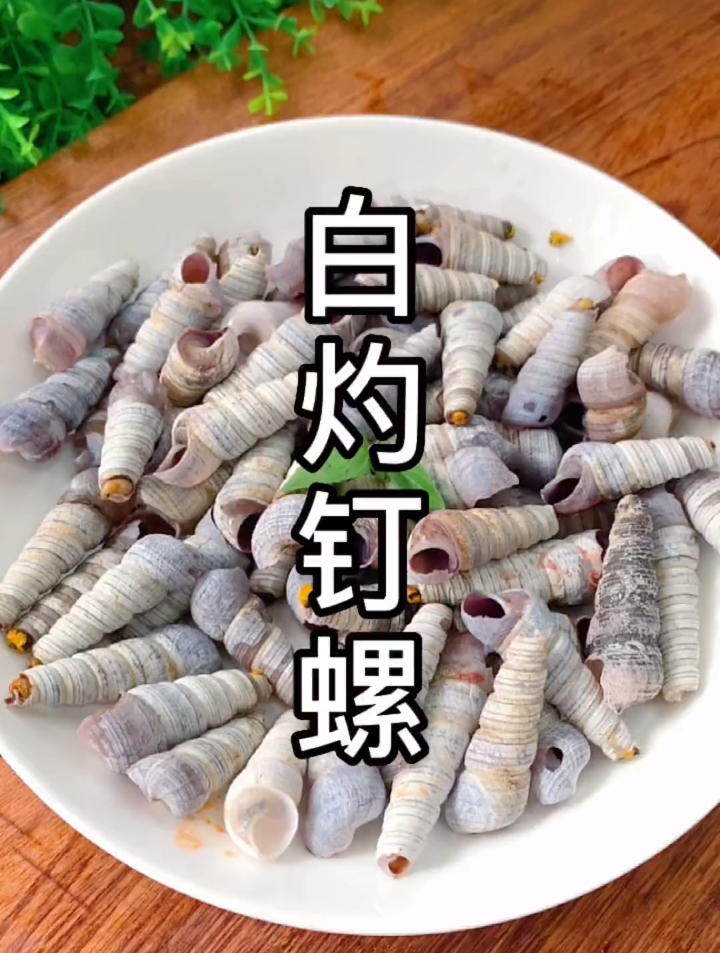 一道简单又鲜美的美食,白灼花螺,花螺白灼应该这样煮!鲜美爽脆