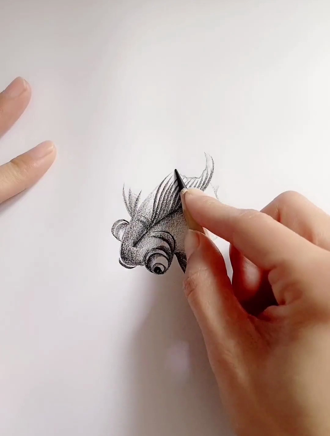 简单画小金鱼 一起学画画