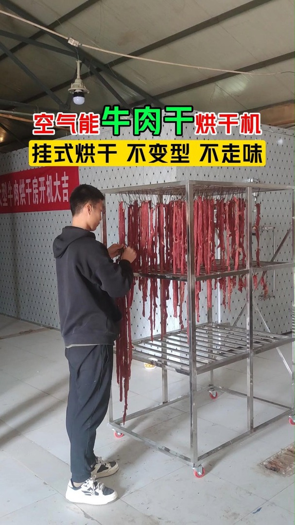 天热也能做牛肉干 腊肉腊肠冷风干燥机 牛肉烘干机