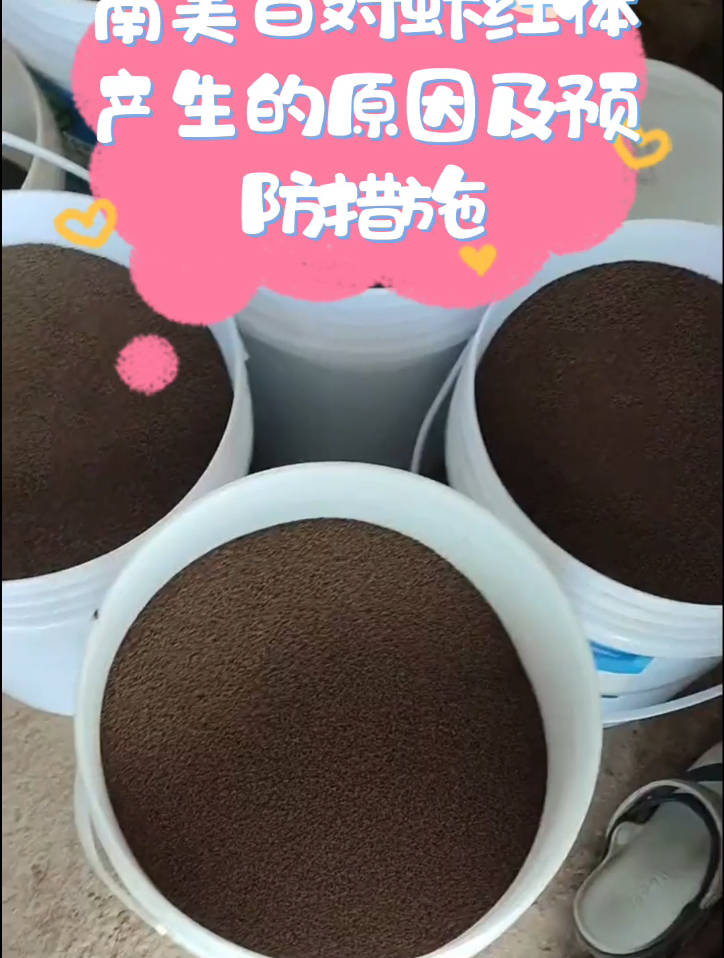 南美白对虾红体产生的原因及预防措施