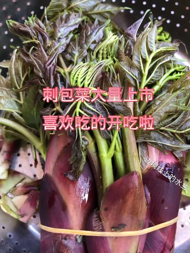 刺包菜已经大量上市,喜欢吃的可以开吃啦,春天美食不能错过