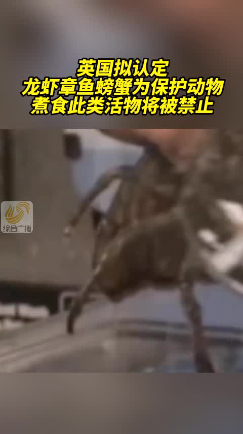 英国拟认定龙虾章鱼螃蟹为保护动物,煮食此类活物将被禁止