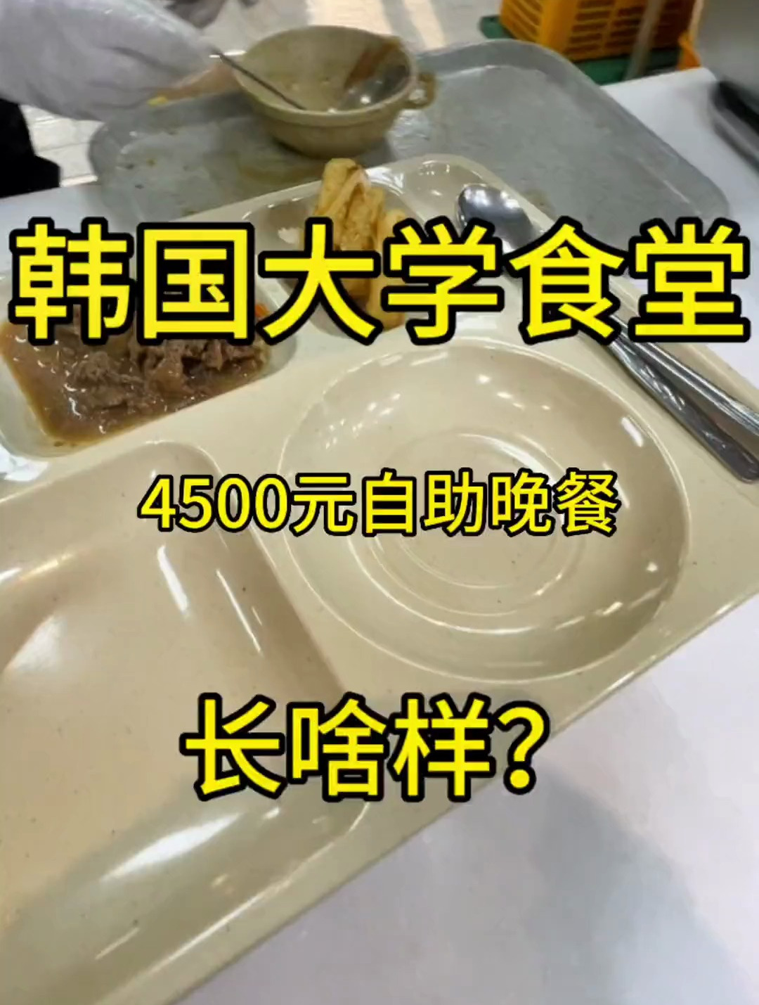 韩国大学食堂打饭,今天的这个猪肉拌饭吃还不错