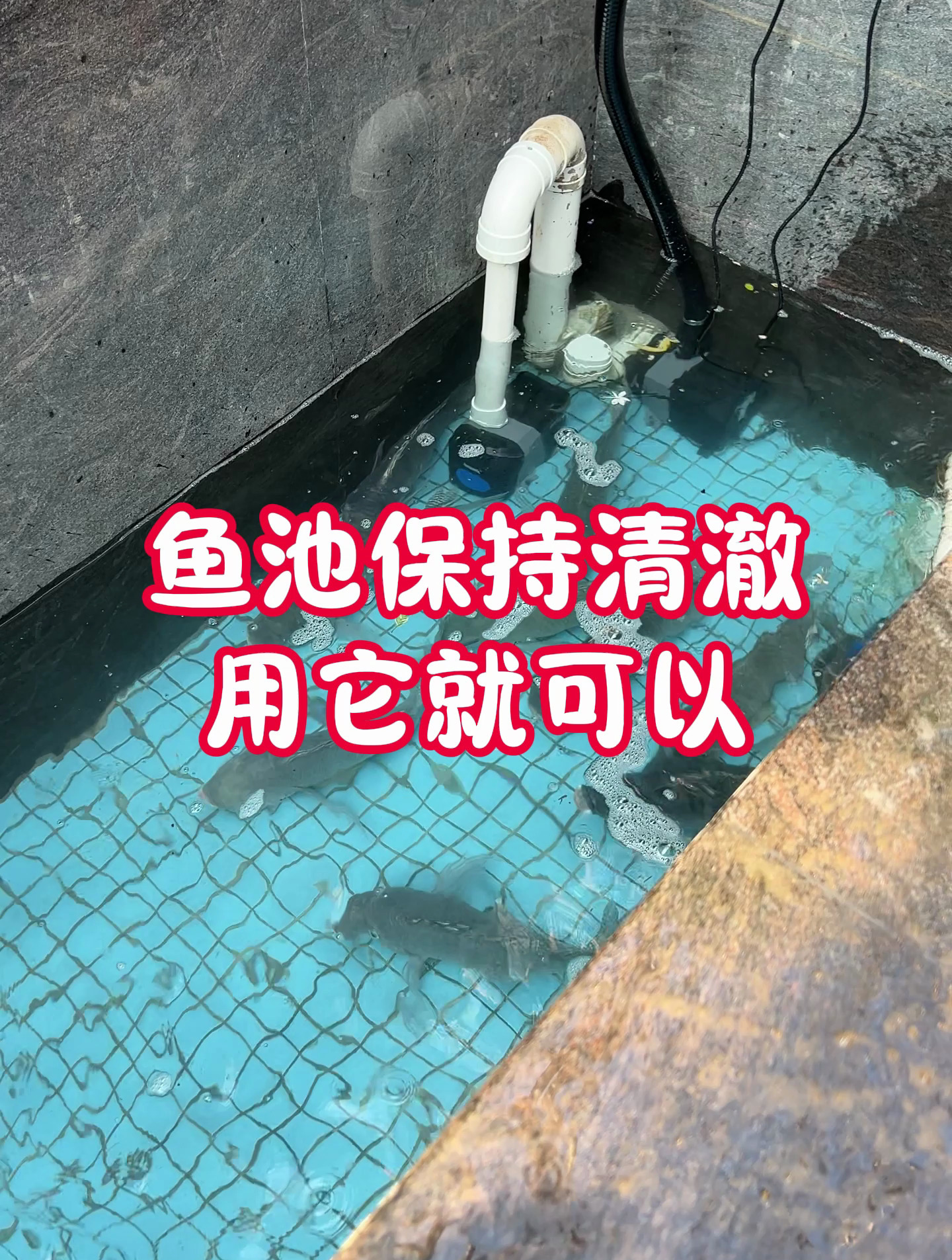 20吨每小时水流量的鱼池过滤器应该满足了大多数庭院鱼池的需求了
