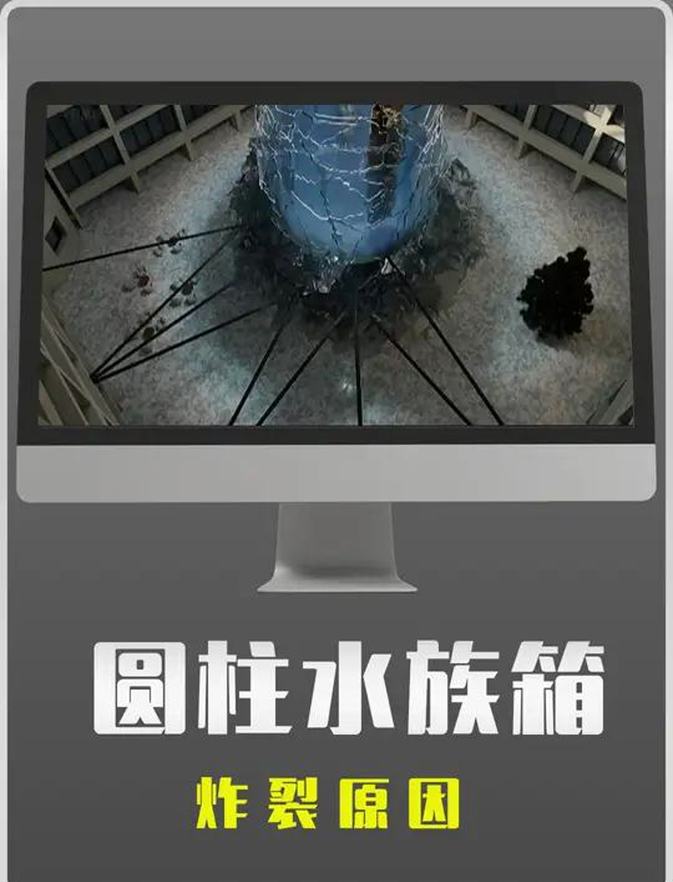 柏林市中心惊现奇观:成千上万条鱼游上街头,巨型圆柱鱼缸爆裂了!
