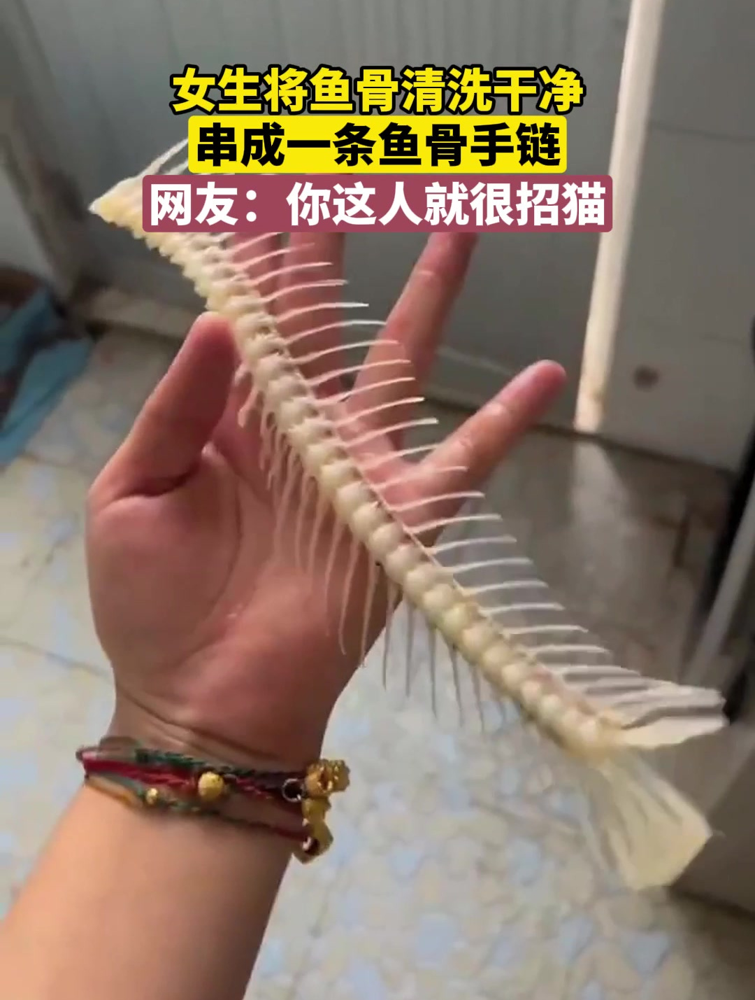 女生将鱼骨清洗干净,串成一条鱼骨手链,网友:你这人就很招猫