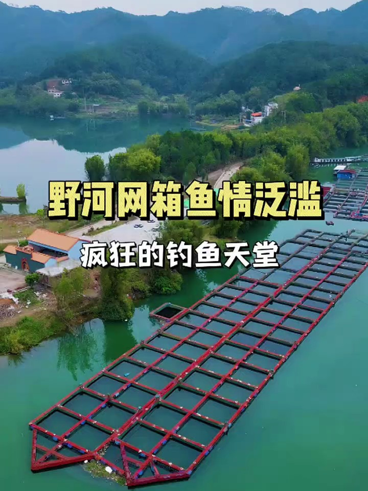 野河网箱鱼情泛滥